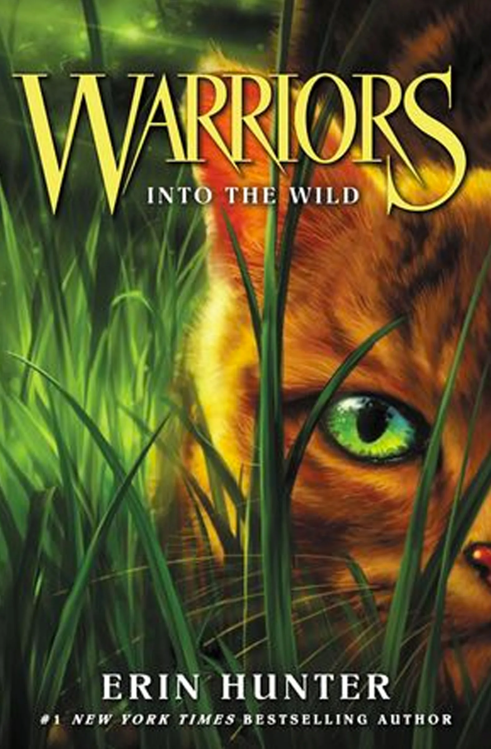 Warriors cover